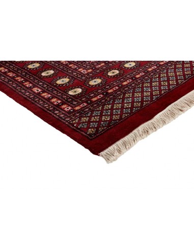 Hand made rug Bukhara fine Pakistan cm.201x306