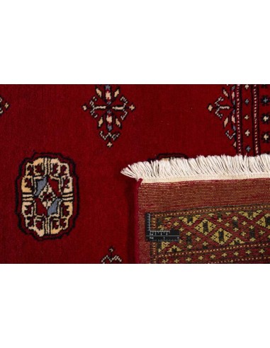 Hand made rug Bukhara fine Pakistan cm.199x269