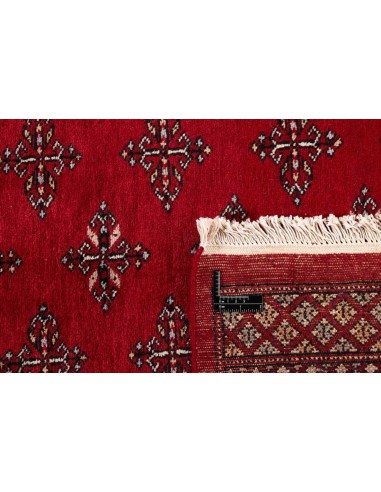 Hand made rug Bukhara fine Pakistan cm.203x333