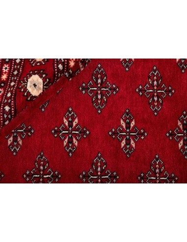 Hand made rug Bukhara fine Pakistan cm.203x333