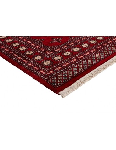 Hand made rug Bukhara fine Pakistan cm.203x333