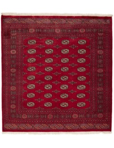 Hand made rug Bukhara fine Pakistan cm.202x212