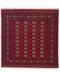 Hand made rug Bukhara fine Pakistan cm.197x202