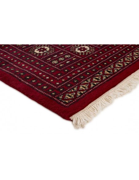 Hand made rug Bukhara fine Pakistan cm.197x202
