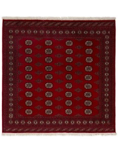Hand made rug Bukhara fine Pakistan cm.200x199