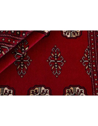 Hand made rug Bukhara fine Pakistan cm.200x199