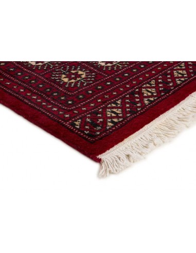 Hand made rug Bukhara fine Pakistan cm.200x199