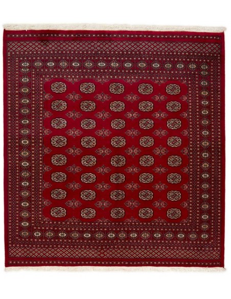 Hand made rug Bukhara fine Pakistan cm.201x210