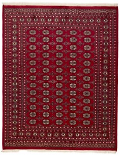 Hand made rug Bukhara fine Pakistan cm.203x255