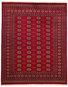 Hand made rug Bukhara fine Pakistan cm.201x253