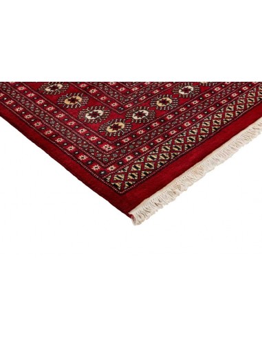 Hand made rug Bukhara fine Pakistan cm.201x253