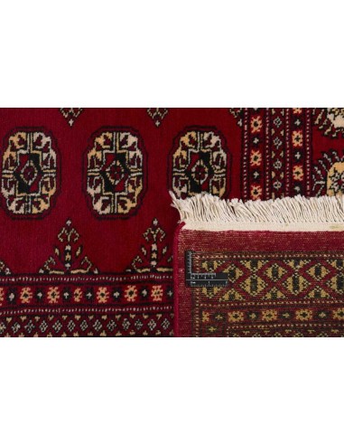 Hand made rug Bukhara fine Pakistan cm.195x250