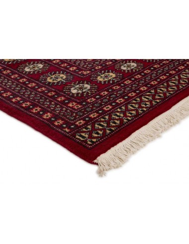 Hand made rug Bukhara fine Pakistan cm.195x250