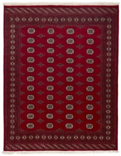 Hand made rug Bukhara fine Pakistan cm.198x253