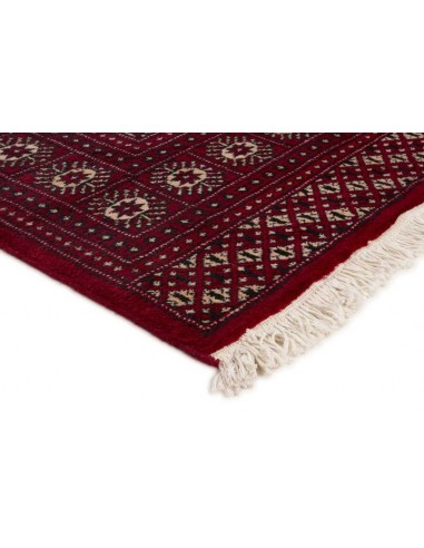 Hand made rug Bukhara fine Pakistan cm.198x253