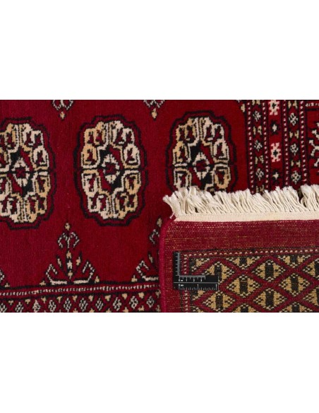 Hand made rug Bukhara fine Pakistan cm.200x242
