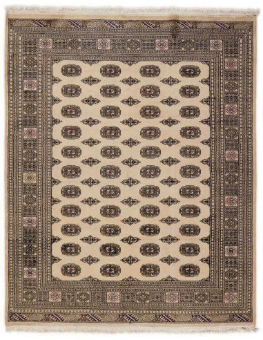 Hand made rug Bukhara fine Pakistan cm.200x249