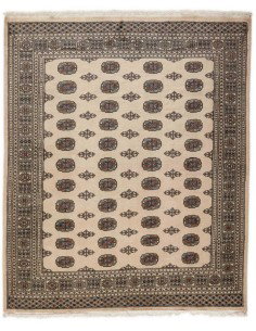 Hand made rug Bukhara fine Pakistan cm.207x249