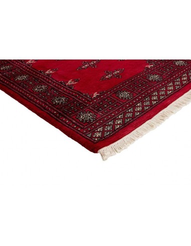 Hand made rug Bukhara fine Pakistan cm.77x244