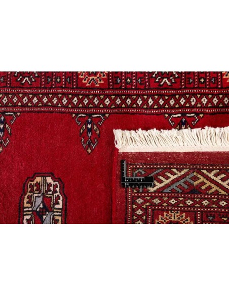 Hand made rug Bukhara fine Pakistan cm.79x312