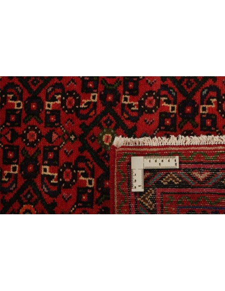 Hand made rug Hosseinabad Persia cm.77x580