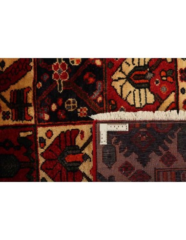 Hand made rug Bakhtiyar Persia cm.158x208