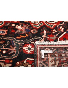 Hand made rug Bakhtiyar Persia cm.170x309 2