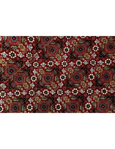 Hand made rug Tabriz Indi India cm.244x244