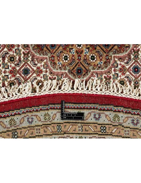 Hand made rug Tabriz Indi India cm.244x244