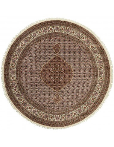 Hand made rug Tabriz Royal India cm.247x247