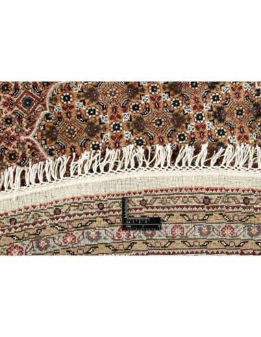 Hand made rug Tabriz Royal India cm.247x247