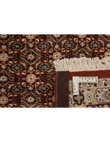 Hand made rug Moud Mahi Persia cm.243x296