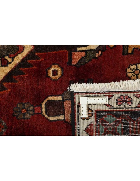 Hand made rug Bakhtiyar Persia cm.182x258