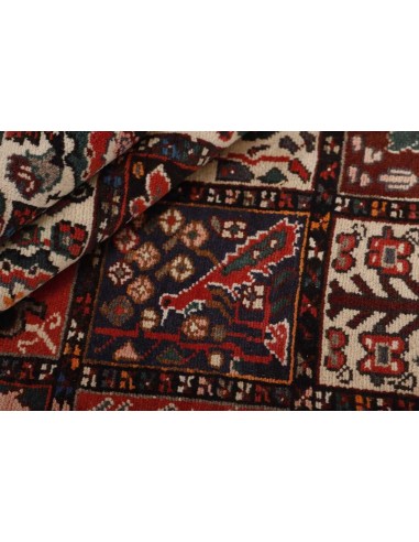 Hand made rug Bakhtiyar Persia cm.170x310