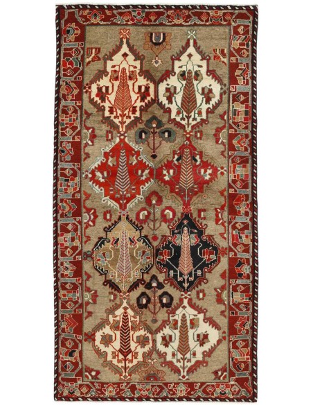 Hand made rug Bakhtiyar Persia cm.146x294