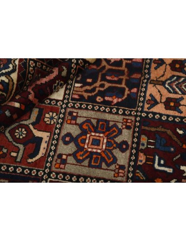 Hand made rug Bakhtiyar Persia cm.169x308