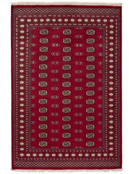 Hand made rug Bukhara fine Pakistan cm.171x255