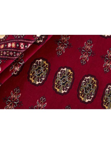 Hand made rug Bukhara fine Pakistan cm.171x255