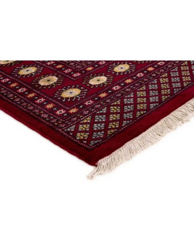 Hand made rug Bukhara fine Pakistan cm.171x255
