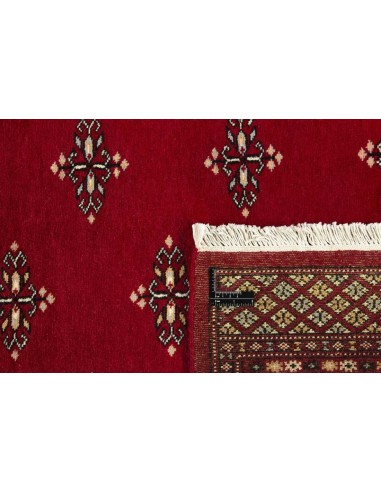 Hand made rug Bukhara fine Pakistan cm.168x259