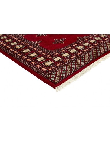 Hand made rug Bukhara fine Pakistan cm.168x259