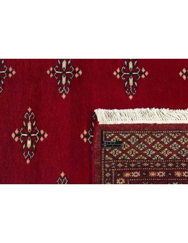 Hand made rug Bukhara fine Pakistan cm.169x238