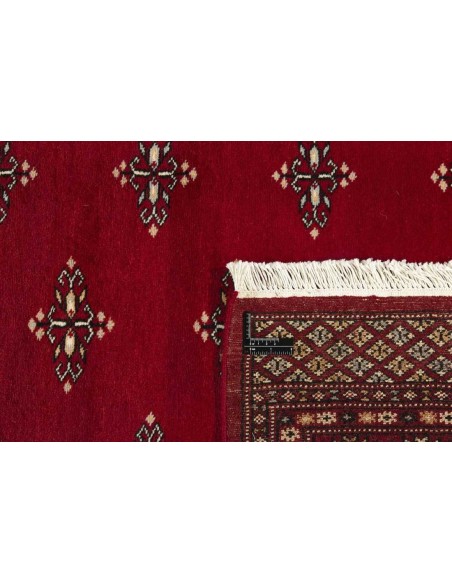 Hand made rug Bukhara fine Pakistan cm.169x238