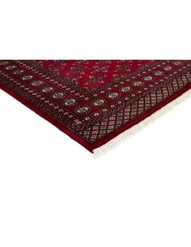 Hand made rug Bukhara fine Pakistan cm.157x238
