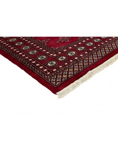 Hand made rug Bukhara fine Pakistan cm.168x224