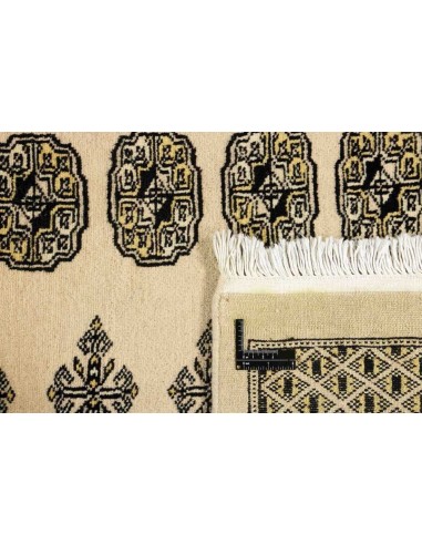 Hand made rug Bukhara fine Pakistan cm.246x302