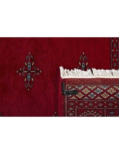 Hand made rug Bukhara extra fine Pakistan cm.95x158