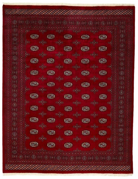 Hand made rug Bukhara extra fine Pakistan cm.249x316