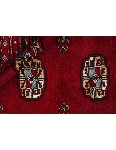 Hand made rug Bukhara extra fine Pakistan cm.249x316