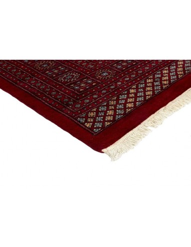 Hand made rug Bukhara extra fine Pakistan cm.249x316